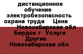 дистанционное обучение - электробезопасность, охрана труда  › Цена ­ 2 500 - Новосибирская обл., Бердск г. Услуги » Другие   . Новосибирская обл.